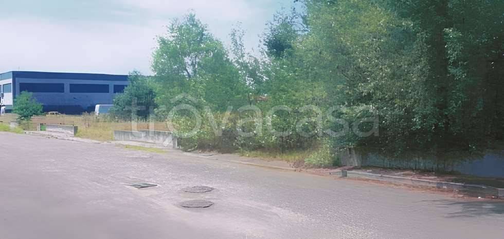 immagine annuncio 1 di 7