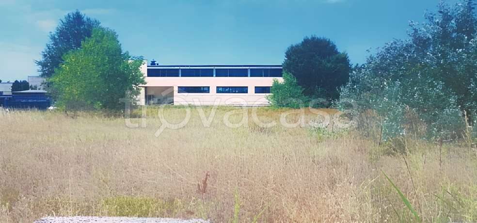 immagine annuncio 3 di 7