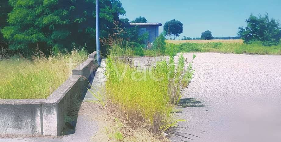 immagine annuncio 4 di 7