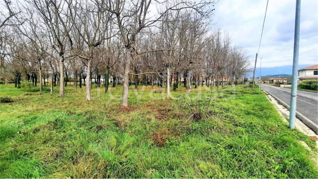 immagine annuncio 2 di 12