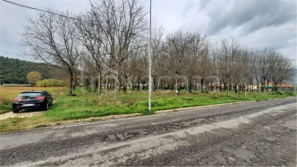 immagine annuncio 3 di 12