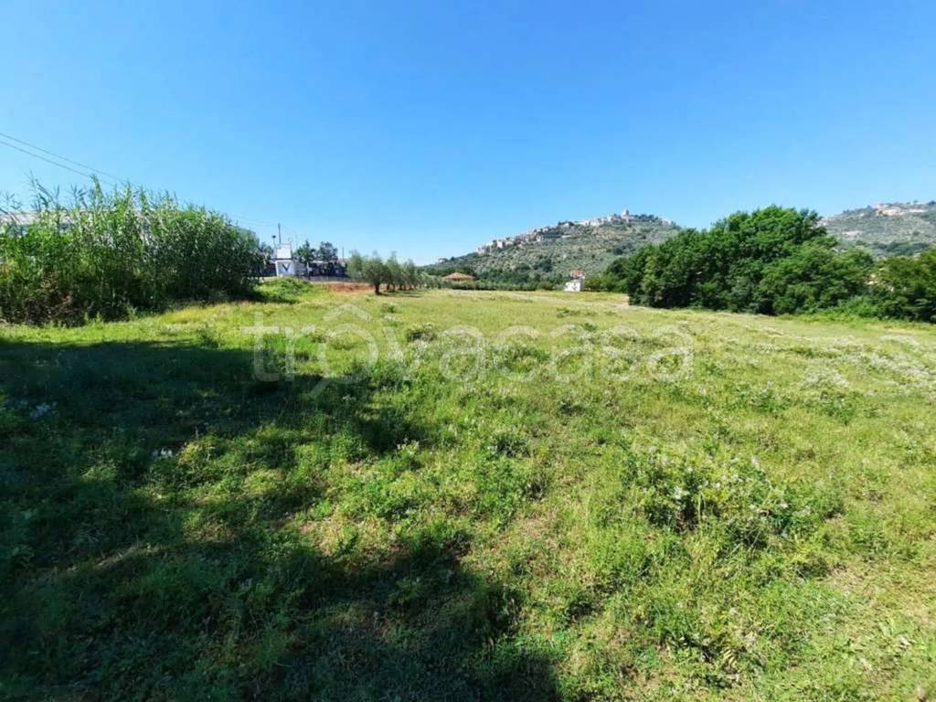 immagine annuncio 2 di 13