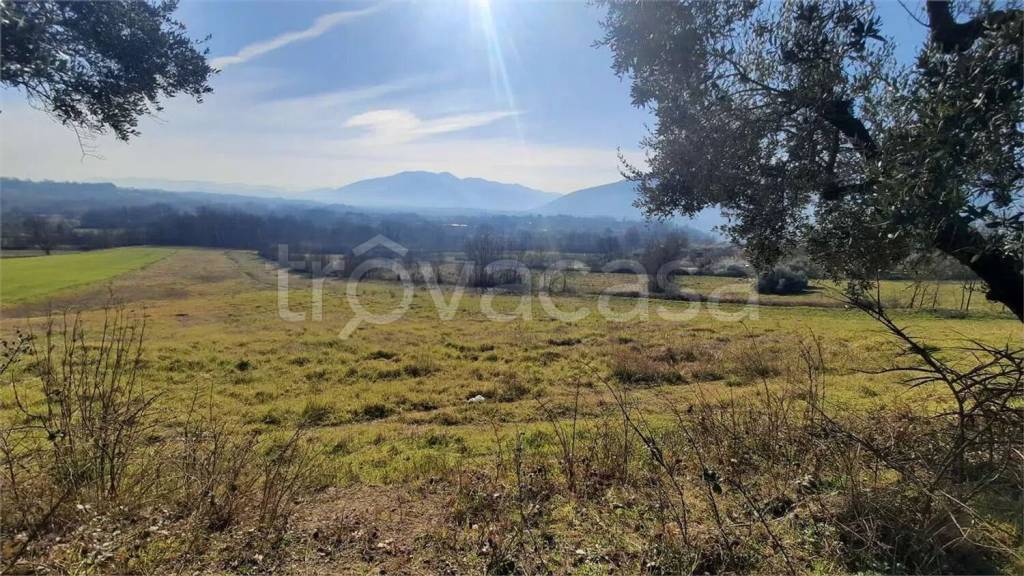 immagine annuncio 5 di 13