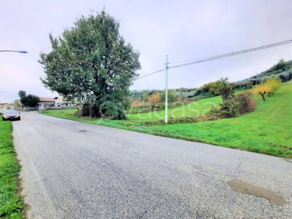 immagine annuncio 1 di 14