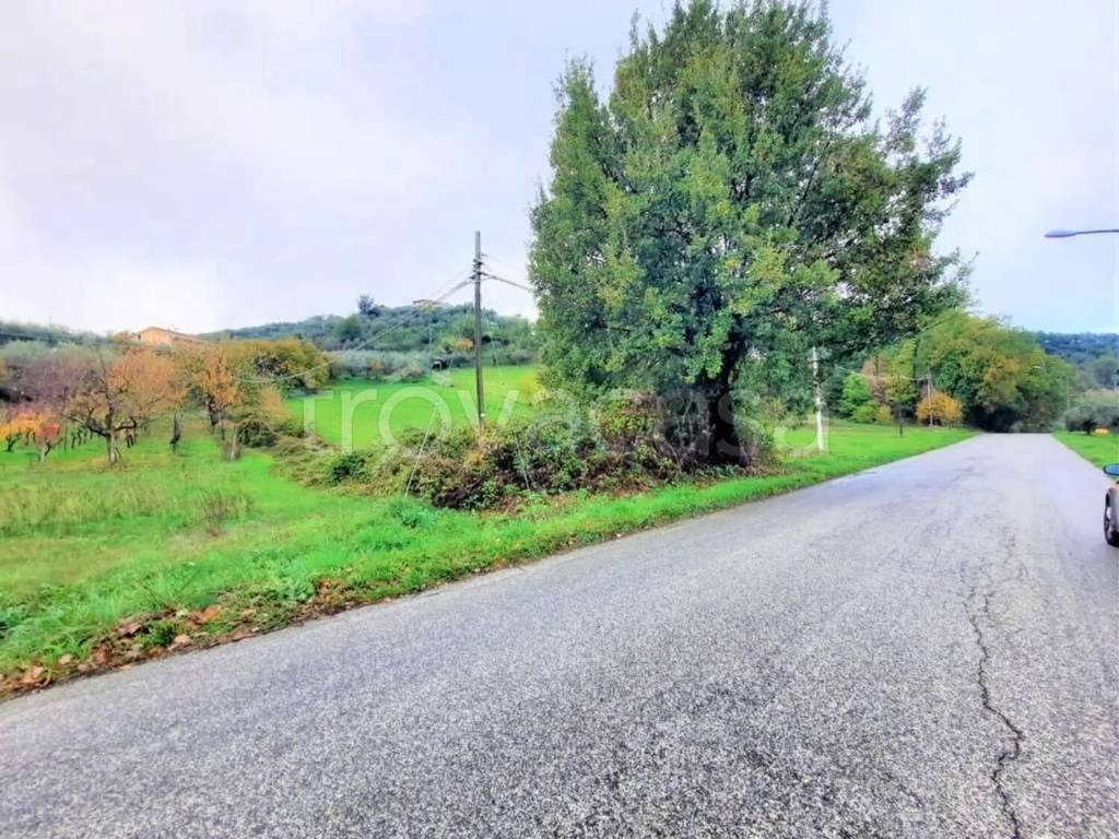 immagine annuncio 2 di 14