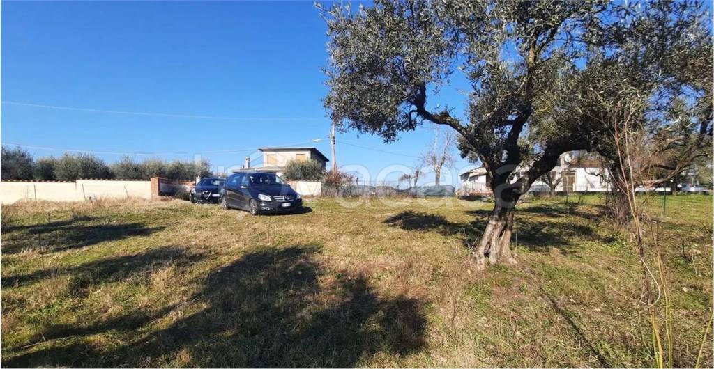 immagine annuncio 7 di 13