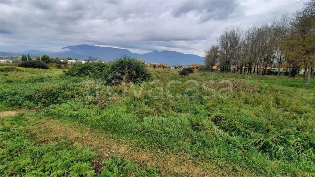 immagine annuncio 9 di 12