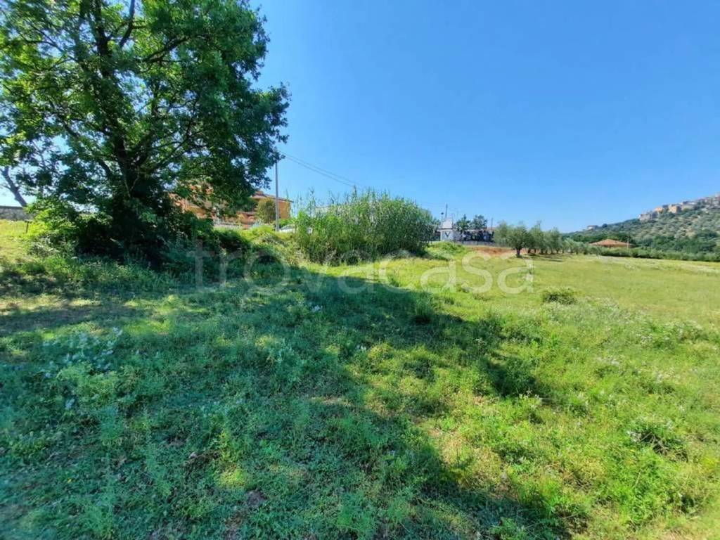 immagine annuncio 5 di 13