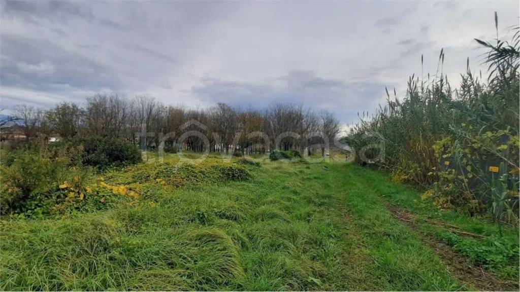 immagine annuncio 10 di 12