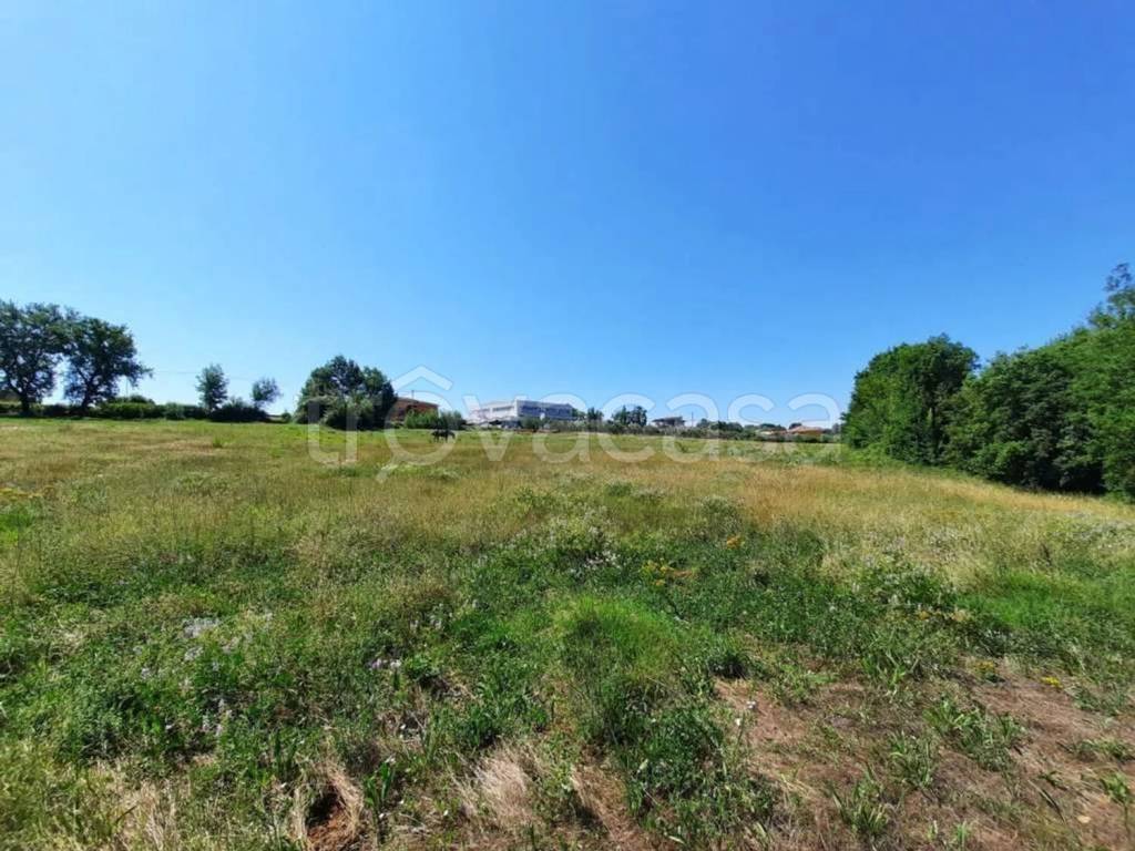 immagine annuncio 6 di 13