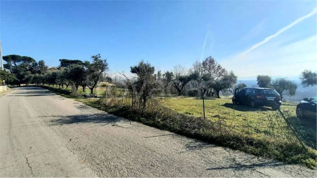 immagine annuncio 9 di 13