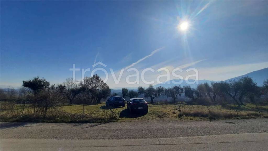 immagine annuncio 10 di 13