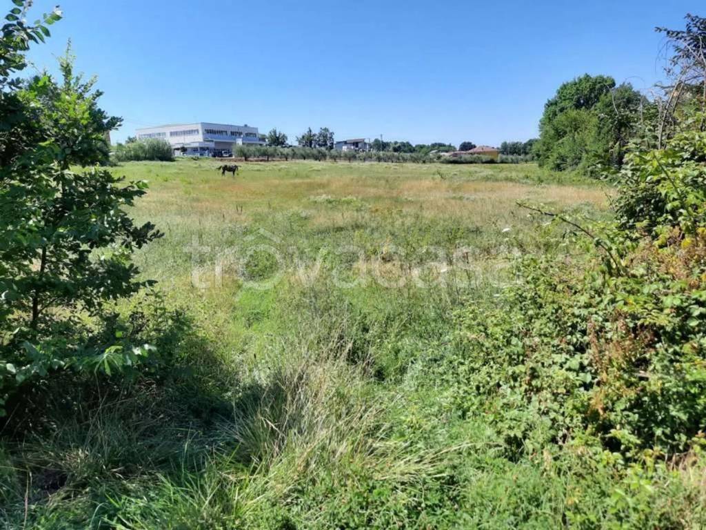 immagine annuncio 7 di 13