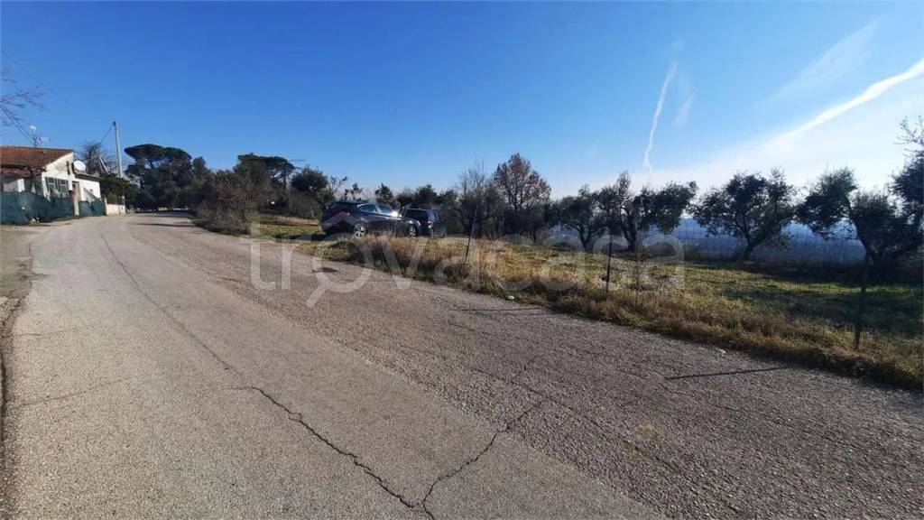 immagine annuncio 11 di 13