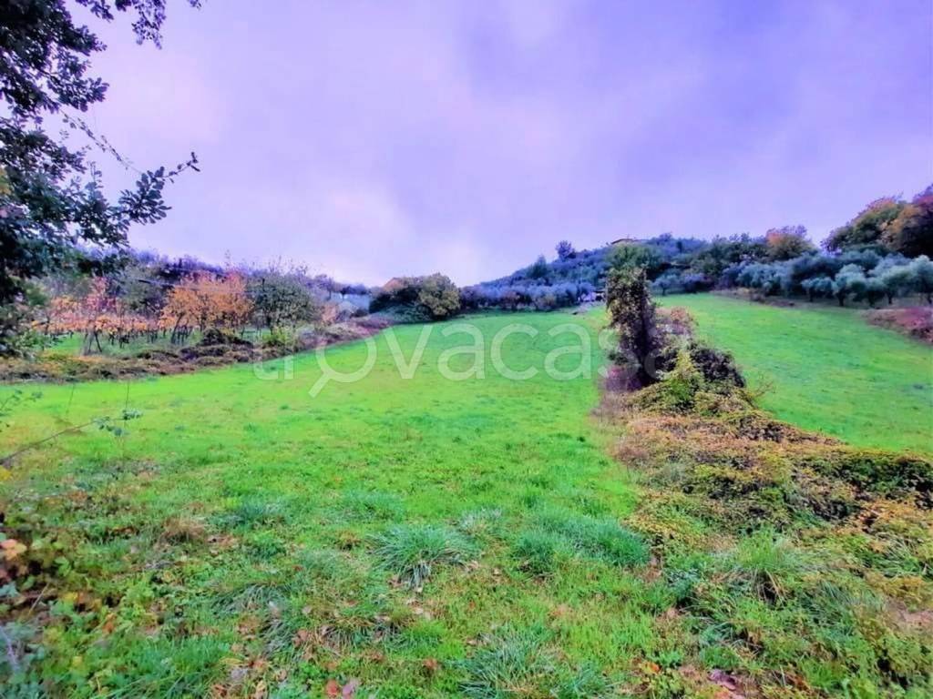 immagine annuncio 6 di 14