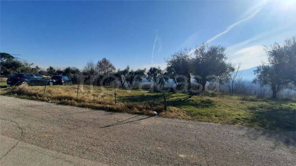 immagine annuncio 12 di 13