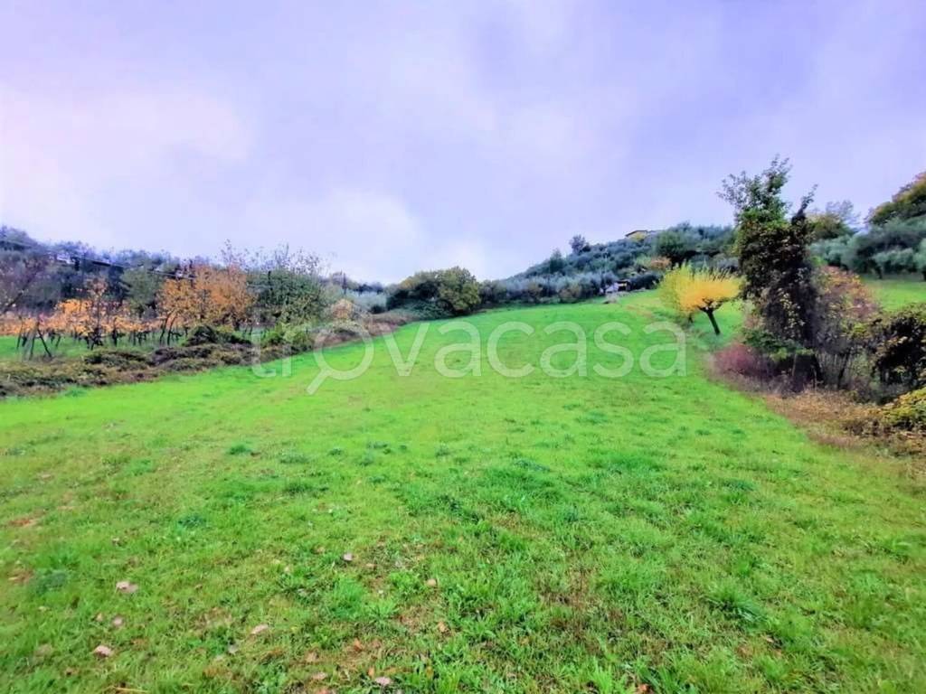 immagine annuncio 7 di 14