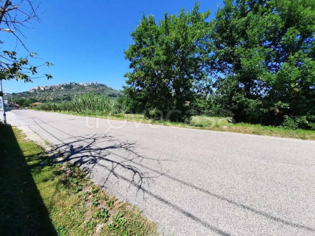 immagine annuncio 10 di 13