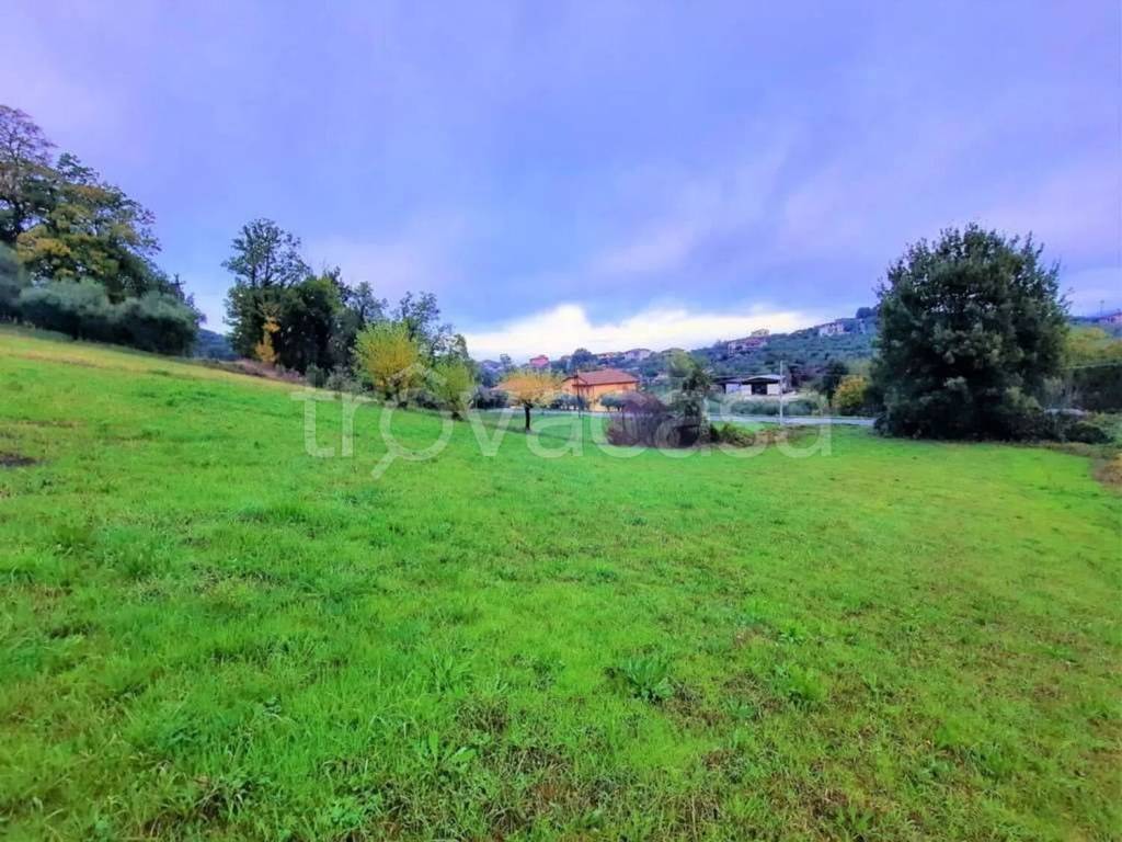 immagine annuncio 8 di 14