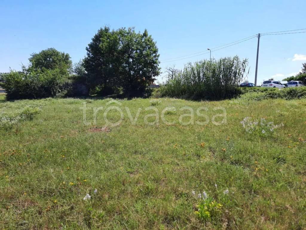 immagine annuncio 11 di 13