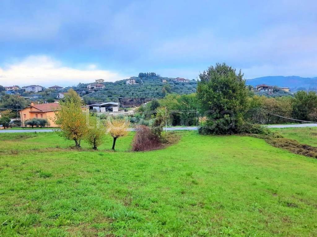 immagine annuncio 10 di 14