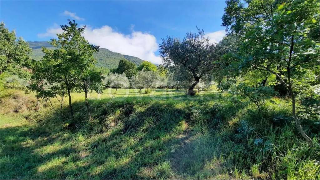 immagine annuncio 4 di 8