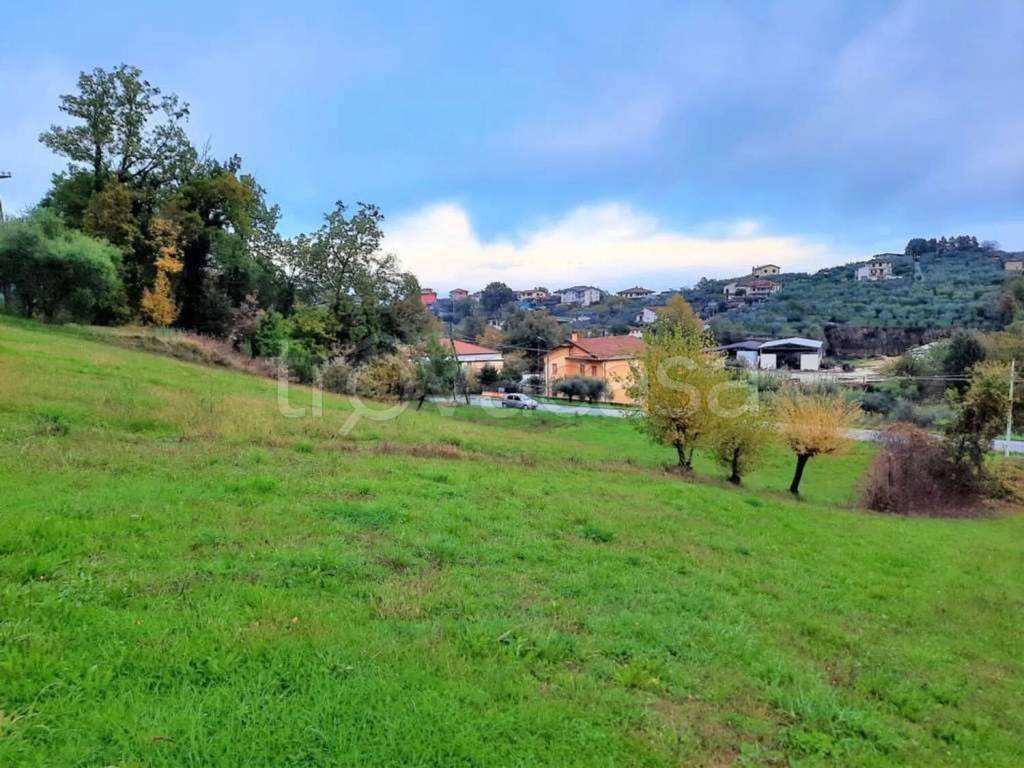 immagine annuncio 11 di 14