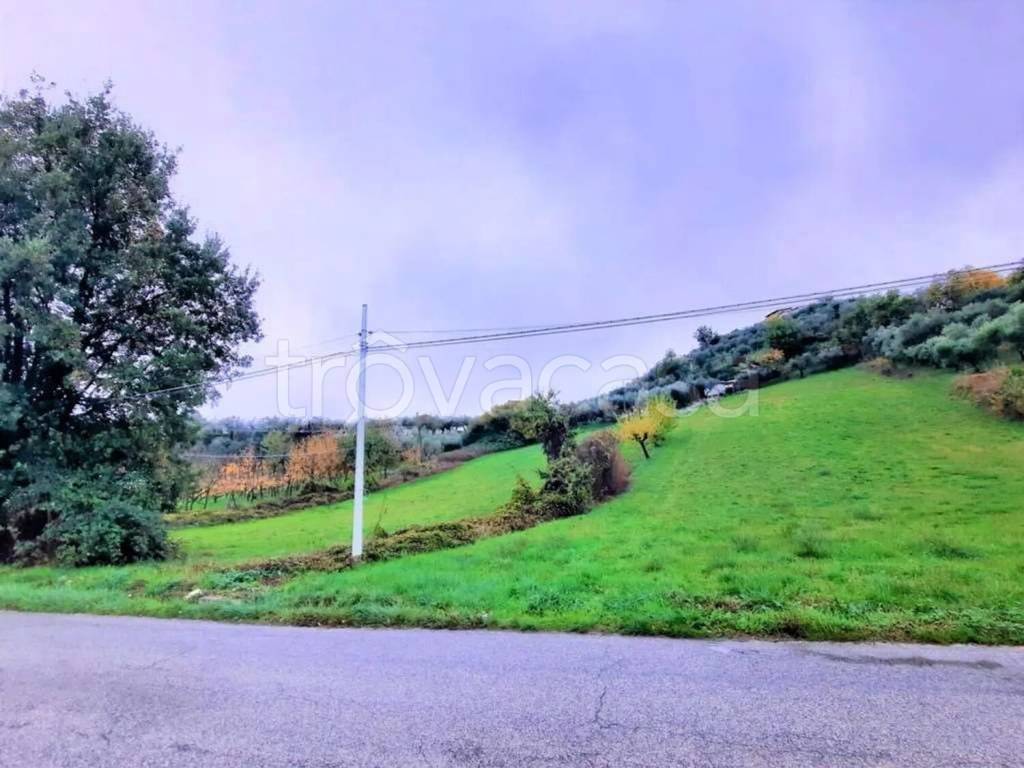 immagine annuncio 12 di 14