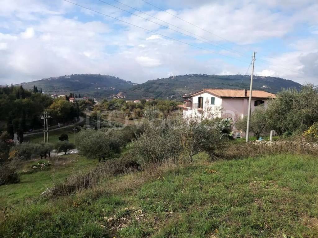 immagine annuncio 2 di 8