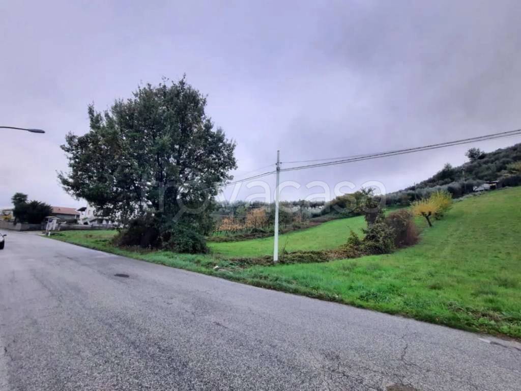 immagine annuncio 13 di 14