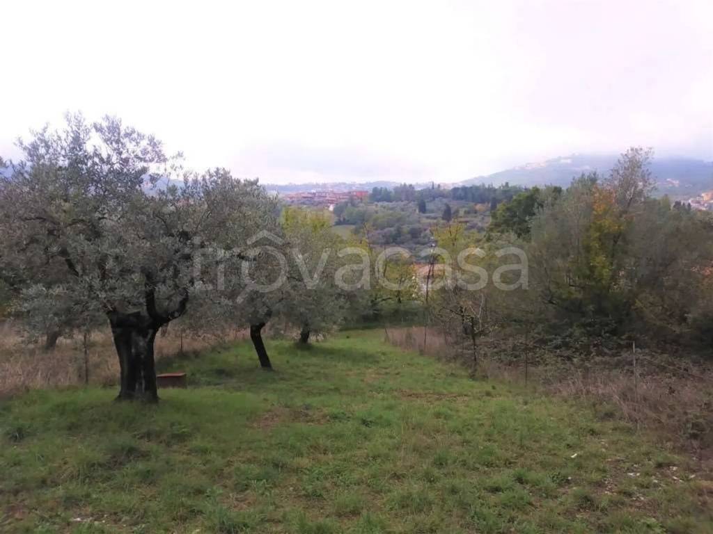 immagine annuncio 3 di 8