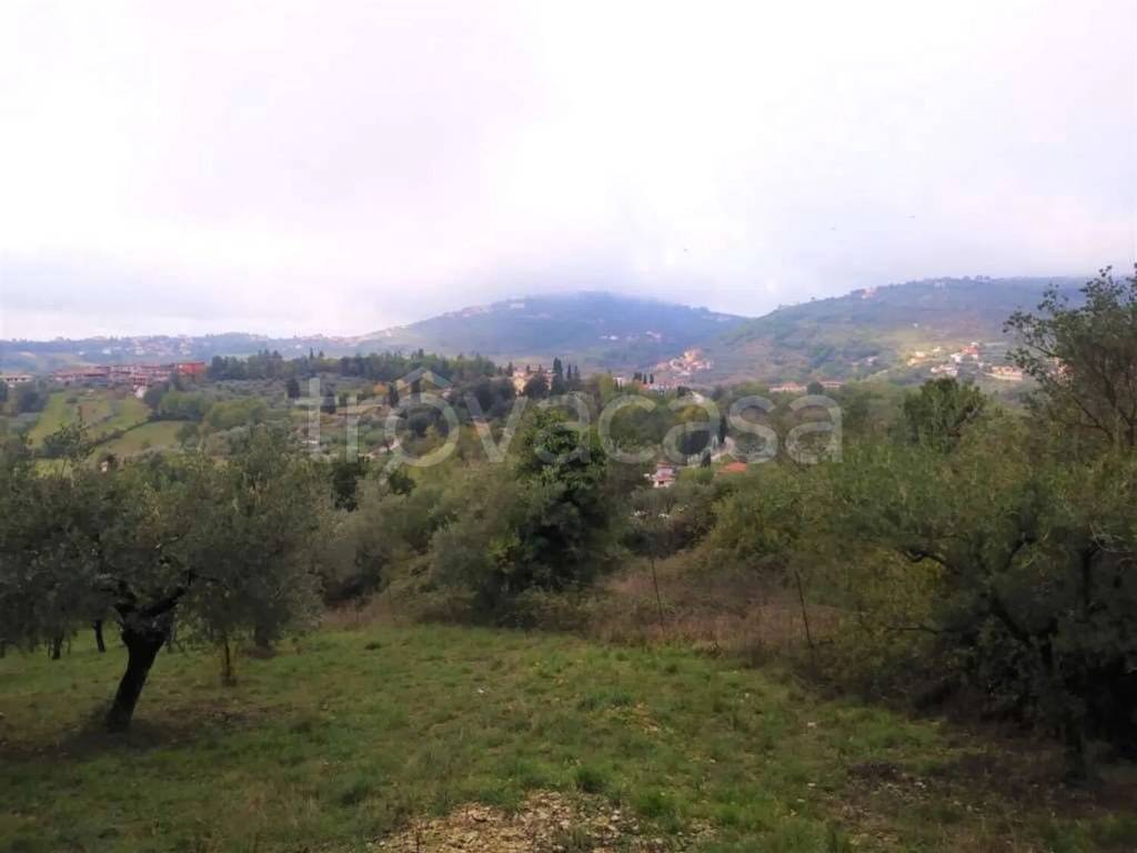 immagine annuncio 4 di 8