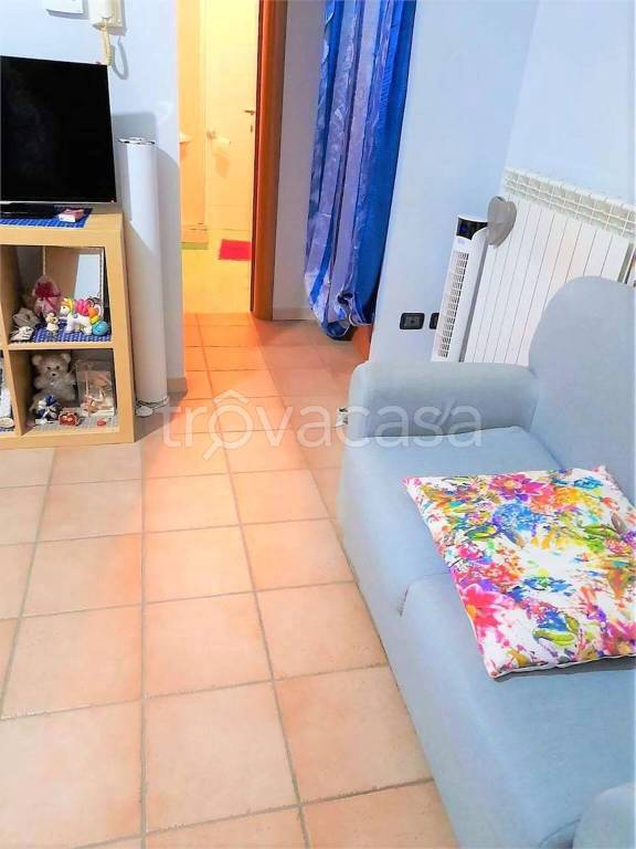 immagine annuncio 1 di 7