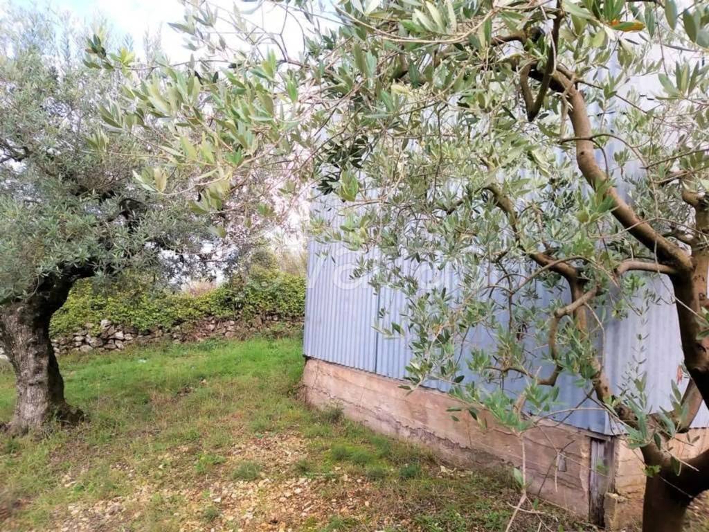 immagine annuncio 6 di 8