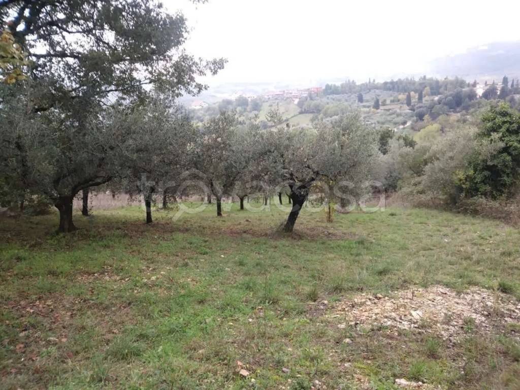 immagine annuncio 7 di 8