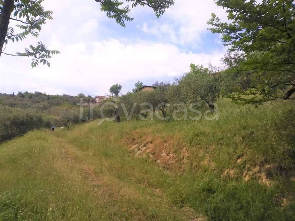 immagine annuncio 4 di 6