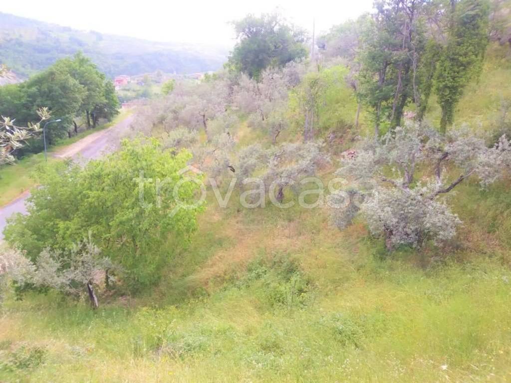 immagine annuncio 5 di 6