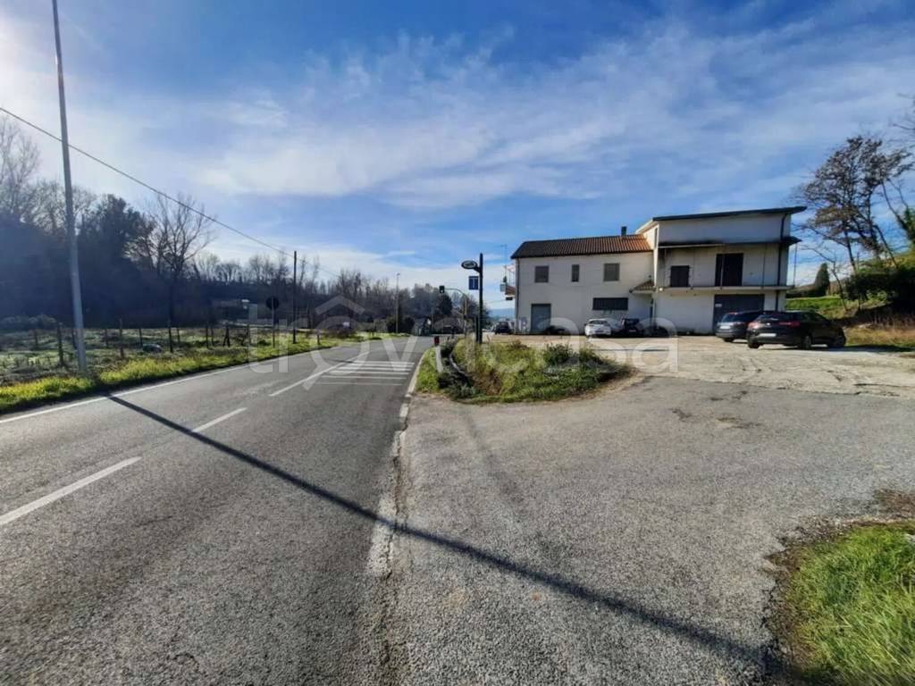 immagine annuncio 10 di 12