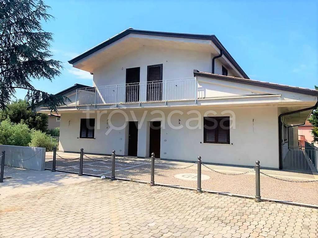 immagine annuncio 11 di 12