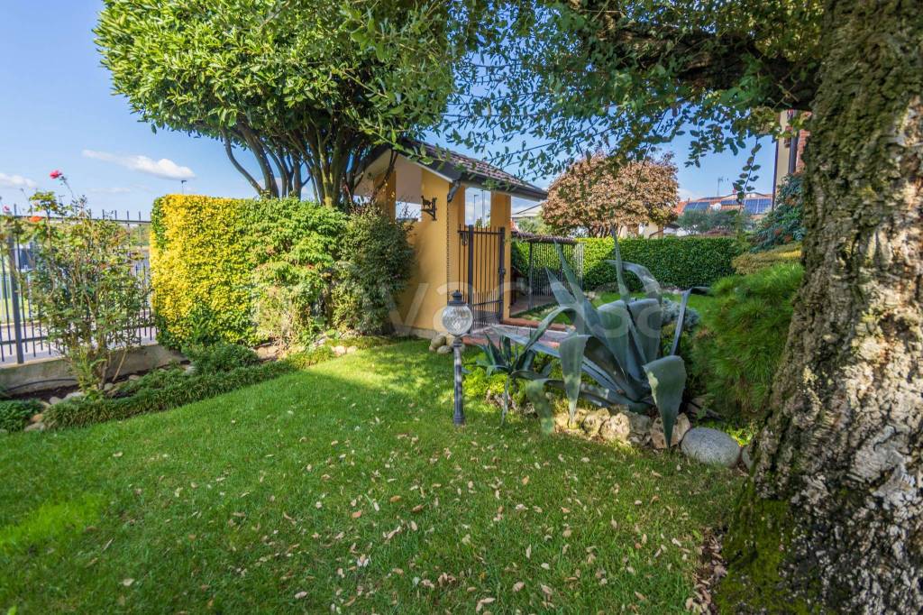 immagine annuncio 1 di 15