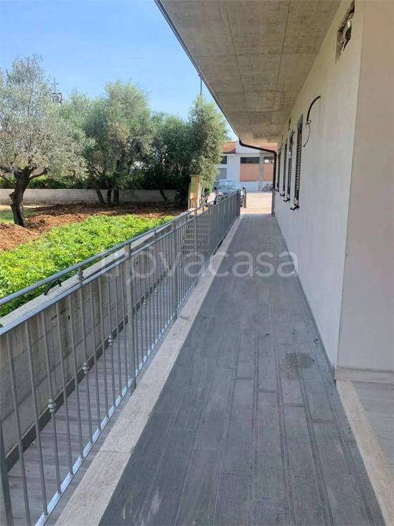 immagine annuncio 6 di 9