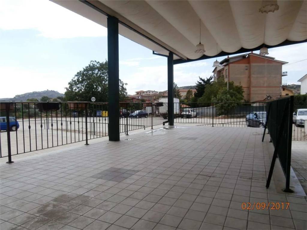 immagine annuncio 11 di 14