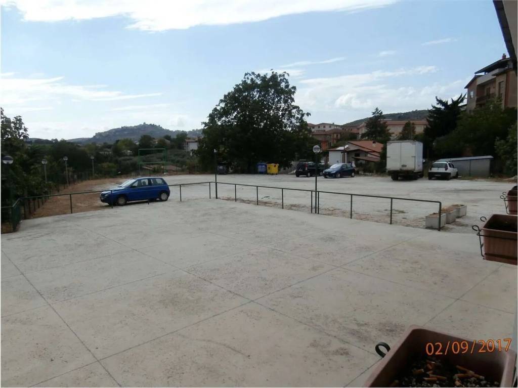 immagine annuncio 12 di 14