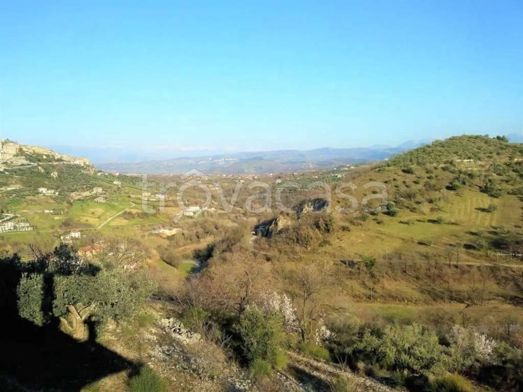 immagine annuncio 7 di 14