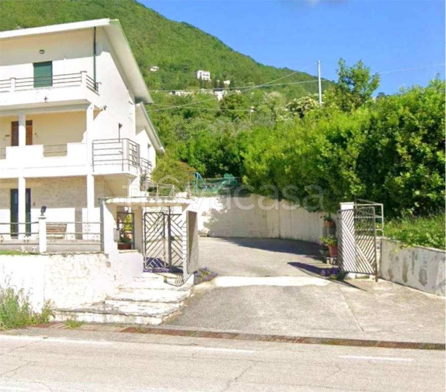 immagine annuncio 11 di 14