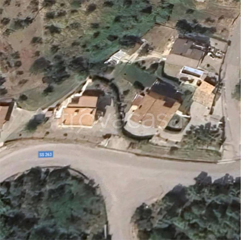 immagine annuncio 12 di 14