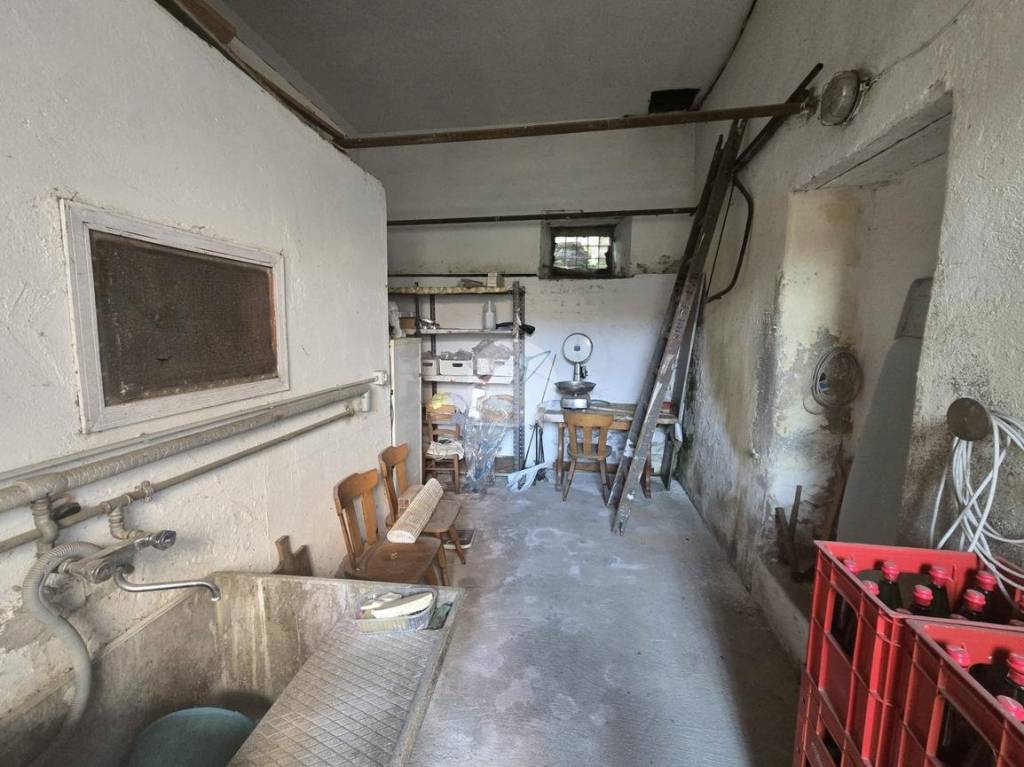 immagine annuncio 9 di 13