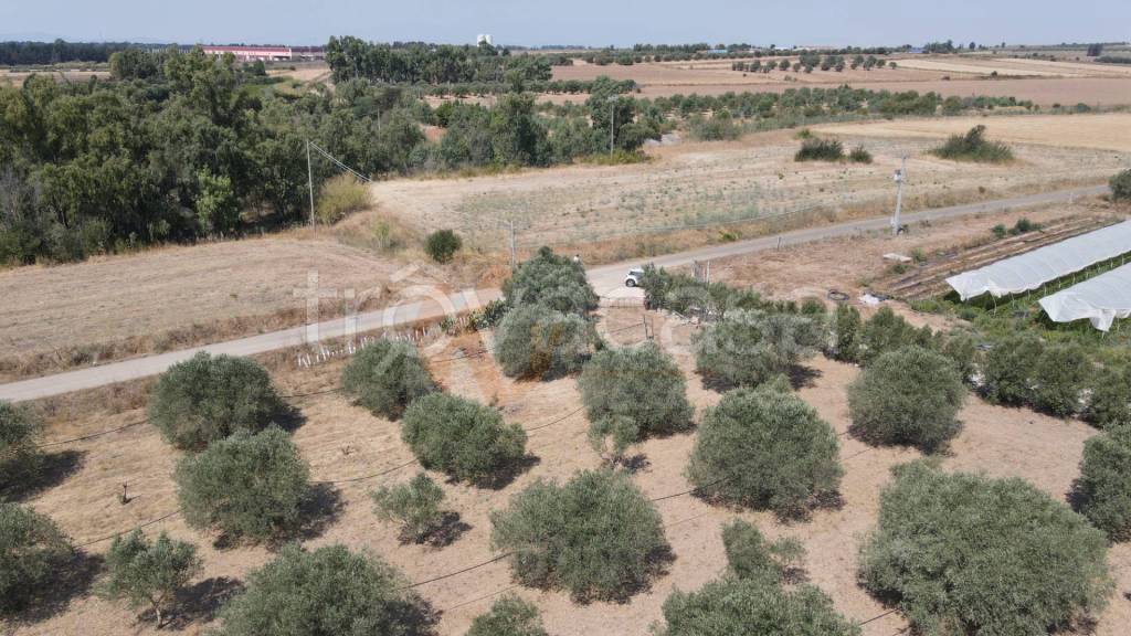 immagine annuncio 4 di 14