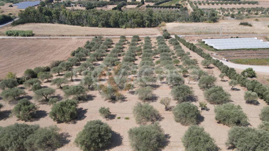 immagine annuncio 6 di 14