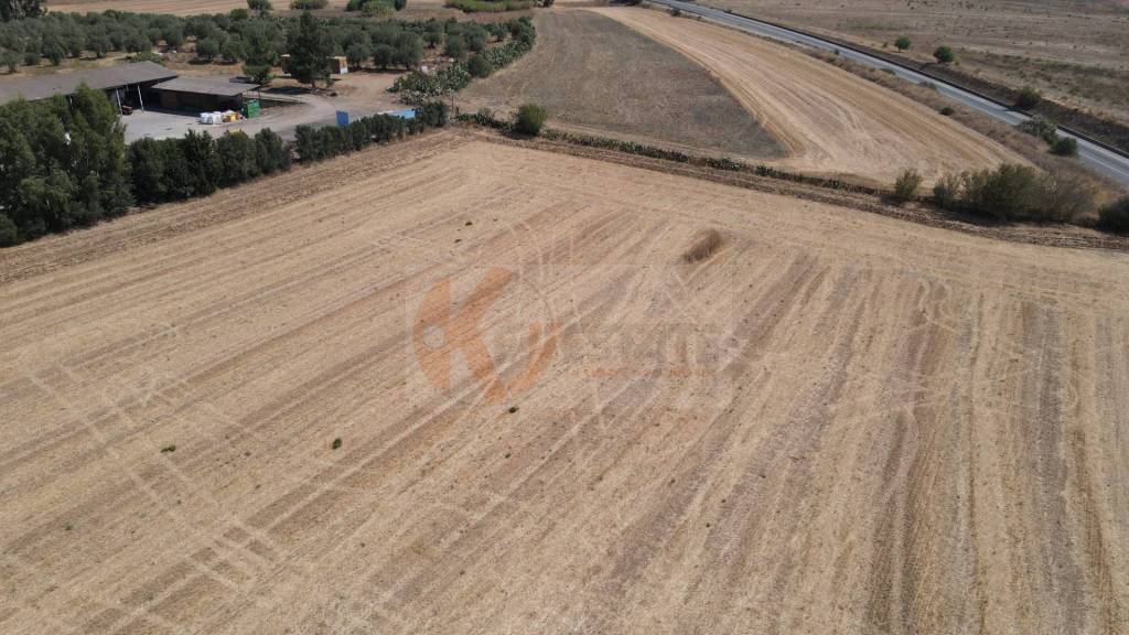 immagine annuncio 10 di 14